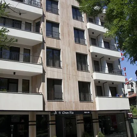 Отель Gran Via 3*